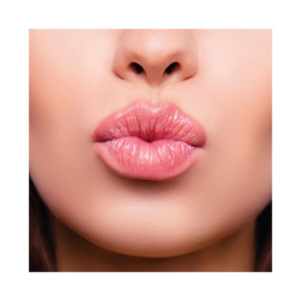 Chambor Le Mwah! Tinted Lip Balm - N 102 Rose Pucker (4.5g) - Chambor