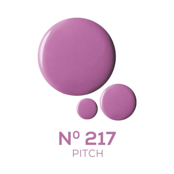 Chambor Le Select Nail Enamel - N 217 Pitch (10ml) - Chambor