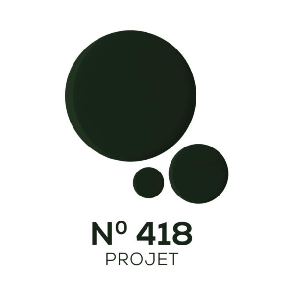Chambor Le Select Nail Enamel - N 418 Projet (10ml) - Chambor