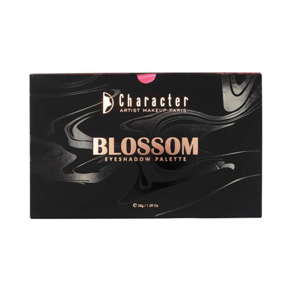 Character 28 Color Eyeshadow Palette - OBD002 Desert (35g) - Character