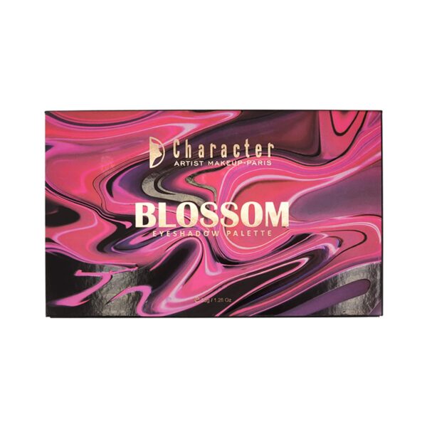 Character 28 Color Eyeshadow Palette - OBD002 Desert (35g) - Character