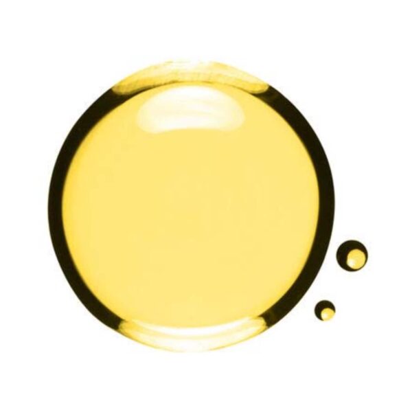 Clarins Santal Treatment Face Oil (30ml) - Clarins