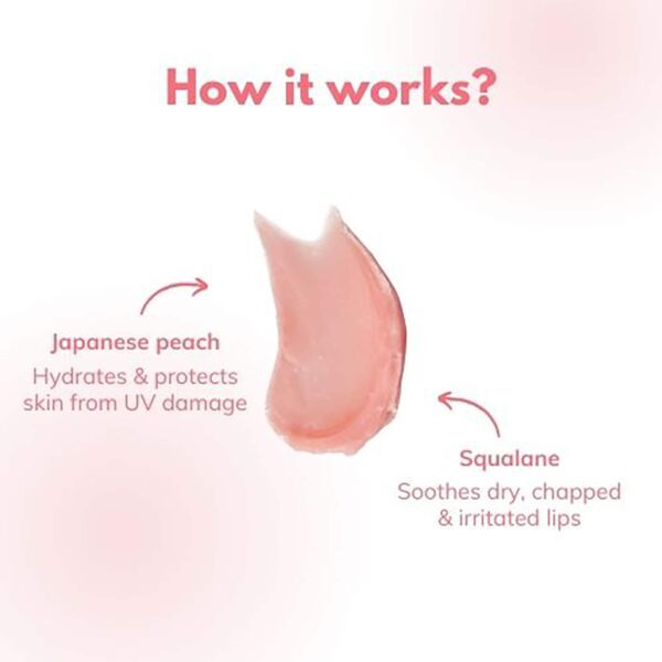 ClayCo. Japanese Peach & Squalane Overnight Lip Mask (8g) - ClayCo.