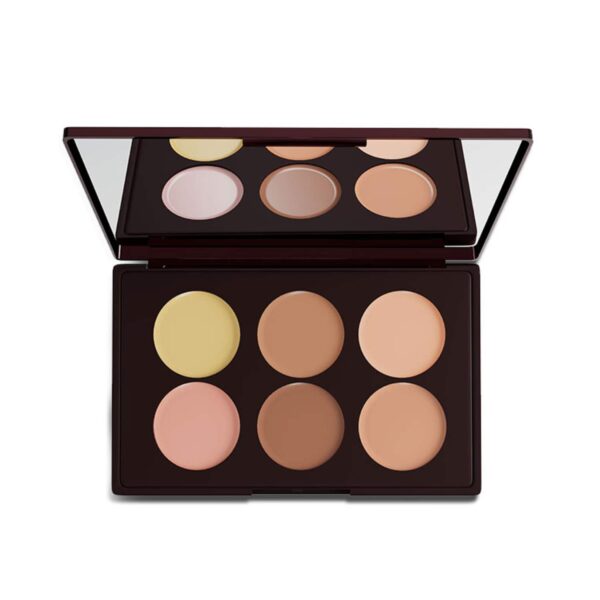 Colorbar 24Hrs Wear Concealer Palette - 001 Light Medium (25 g) - Colorbar