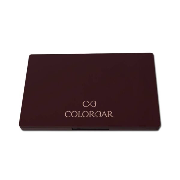 Colorbar 24Hrs Wear Concealer Palette - 001 Light Medium (25 g) - Colorbar