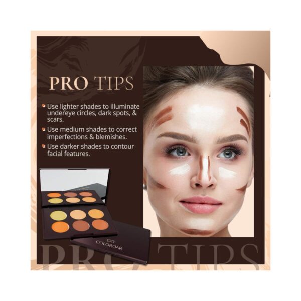 Colorbar 24Hrs Wear Concealer Palette - 001 Light Medium (25 g) - Colorbar