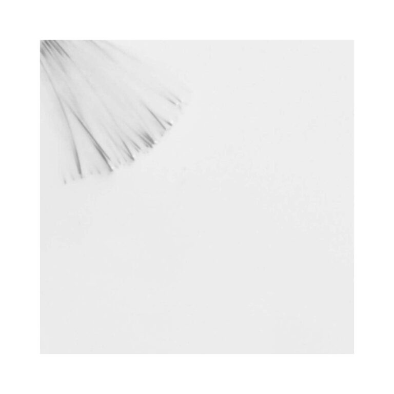 Colorbar Luxe Nail Lacquer - 037 White Maze (12ml) - Colorbar