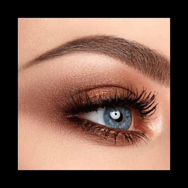 Colorbar Ready To Wink Perfect Eye Brush Kit (3 Pcs) - Colorbar