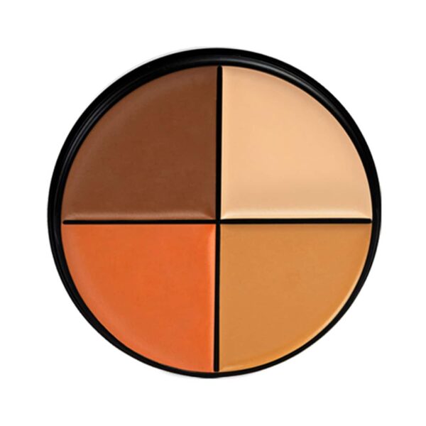Daily Life Forever52 4 Color Concealer Wheel AC003 (12gm) - Daily Life Forever52