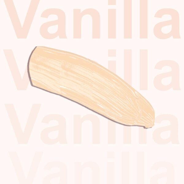 Daily Life Forever52 Complete Coverage Concealer COV001 - Vanilla (10g) - Daily Life Forever52