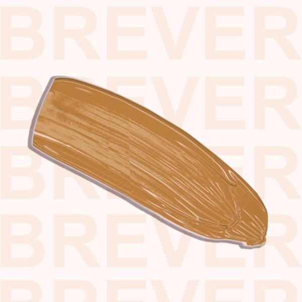 Daily Life Forever52 Complete Coverage Concealer COV009 - Brever (10g) - Daily Life Forever52