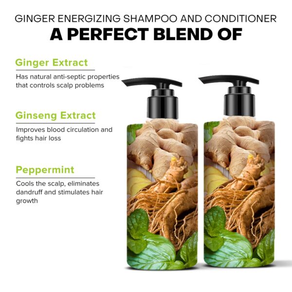 De Fabulous Ginger Energizing Shampoo and Conditioner (250 ml) Combo - De Fabulous