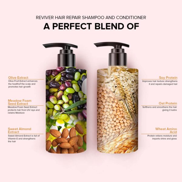 De Fabulous Reviver Hair Repair Shampoo and Conditioner (250 ml) Combo - De Fabulous