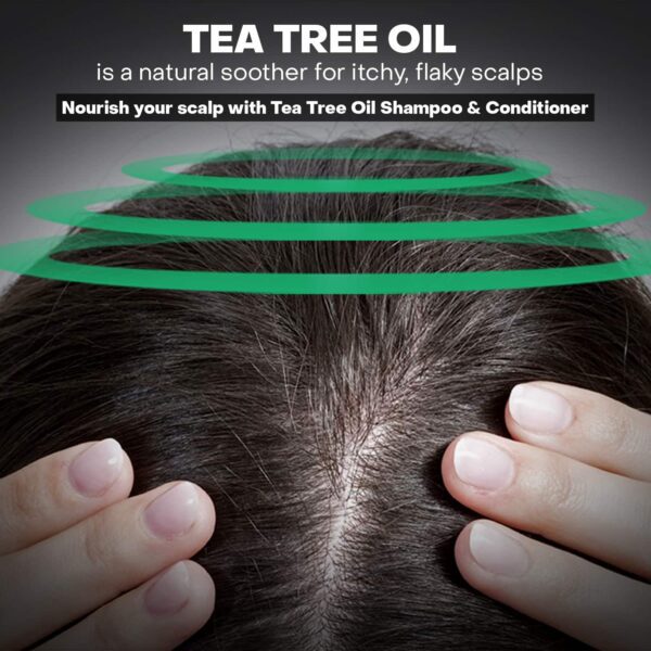 De Fabulous Tea Tree Oil Shampoo and Conditioner -(250 ml) Combo - De Fabulous