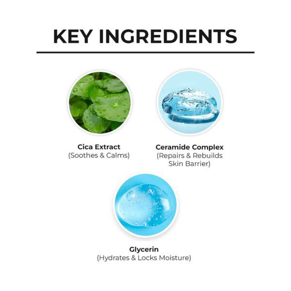 Dr. Sheth's Cica & Ceramide Oil Free Moisturizer (50g) - Dr. Sheth's