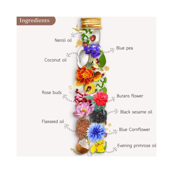 DROMEN & CO Exotic Himalayan Brew Hair Oil (250ml) - DROMEN & CO