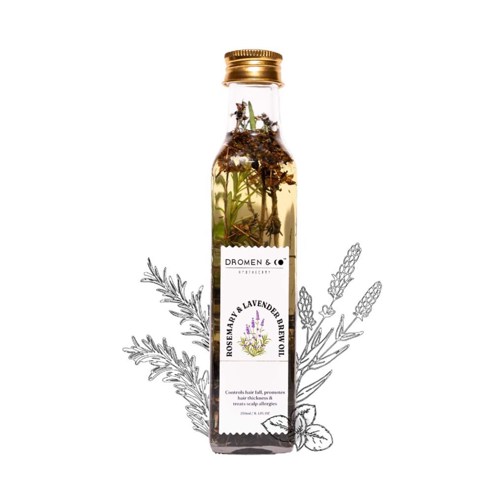 DROMEN & CO Rosemary & Lavender Brew Oil For Hair Growth & Hair Fall Control (250ml) - DROMEN & CO