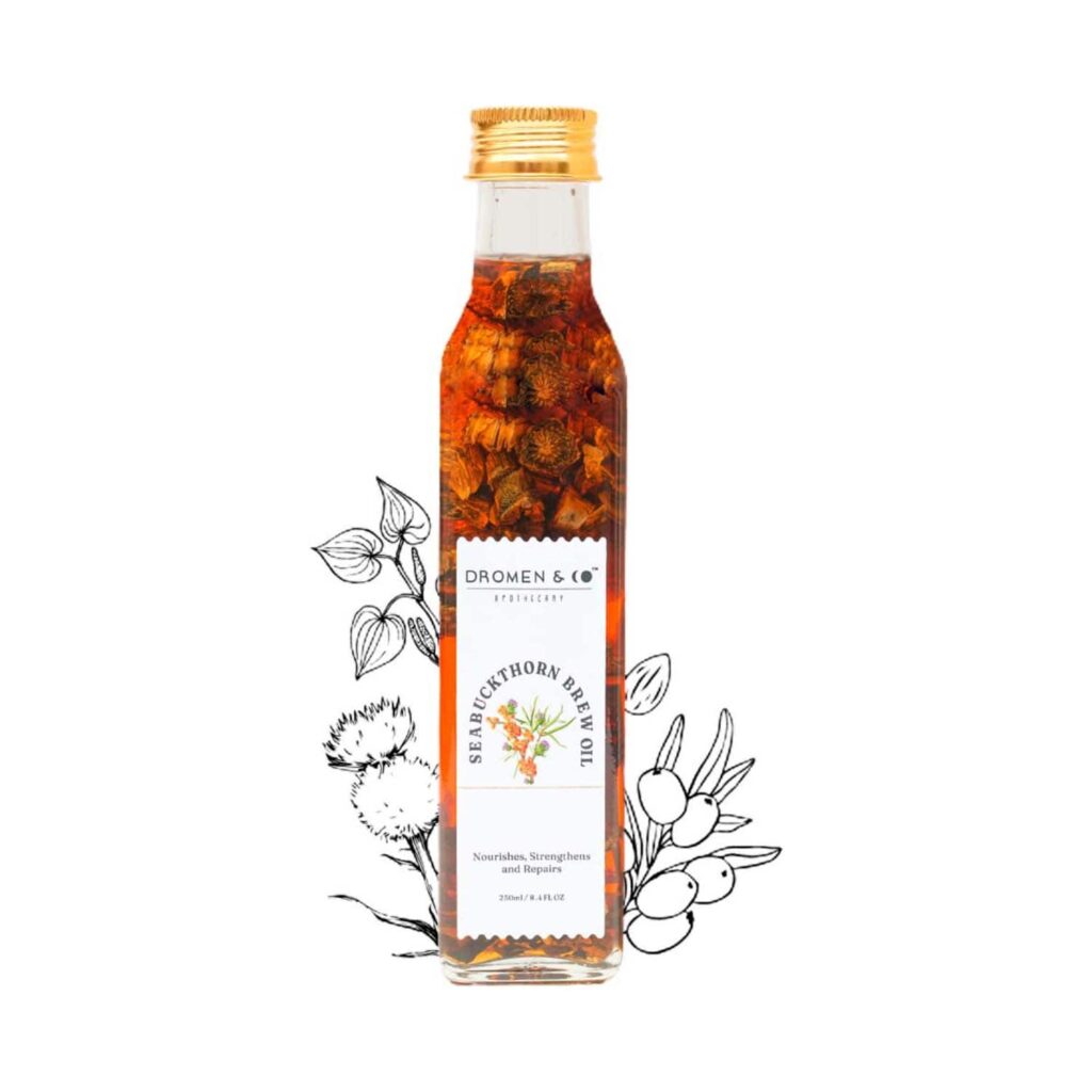 DROMEN & CO Seabuckthorn Brew Oil (250 ml) - DROMEN & CO