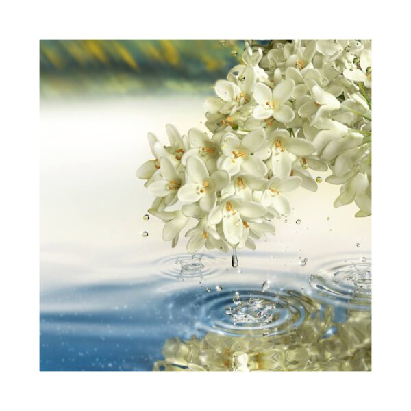 Estee Lauder Paradise Moon Eau De Parfum Spray (100ml) - Estee Lauder