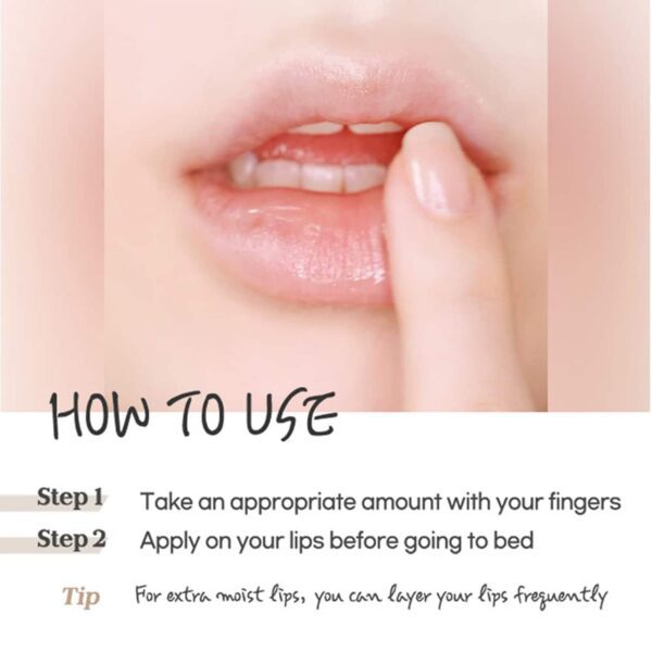 ETUDE HOUSE HOUSE Ginger Sugar Overnight Lip Mask (23g) - ETUDE HOUSE