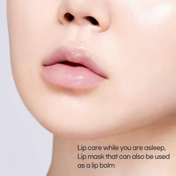 ETUDE HOUSE HOUSE Ginger Sugar Overnight Lip Mask (23g) - ETUDE HOUSE