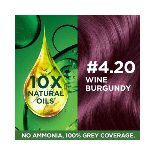 Garnier Color Naturals Creme Riche Hair Color - 4.20 Wine Burgundy (70ml+60g) - Garnier