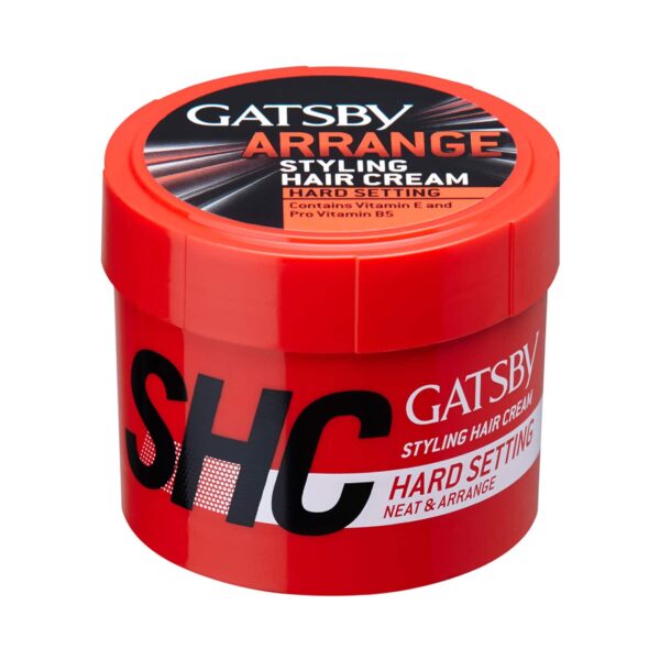 Gatsby Styling Neat & Arrange Hard Setting Hair Cream (250g) - Gatsby