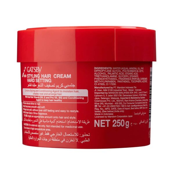 Gatsby Styling Neat & Arrange Hard Setting Hair Cream (250g) - Gatsby