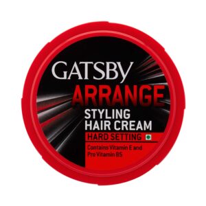Gatsby Styling Neat & Arrange Hard Setting Hair Cream (250g) - Gatsby