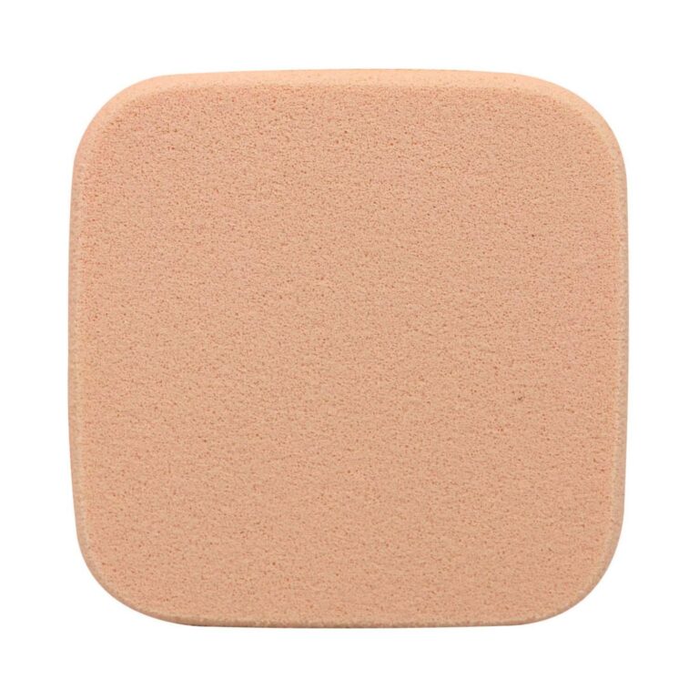 Half N Half Oil Control Compact Powder - 01 Fair (10g) - Half N Half