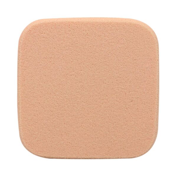 Half N Half Oil Control Compact Powder - 04 Ivory (10g) - Half N Half