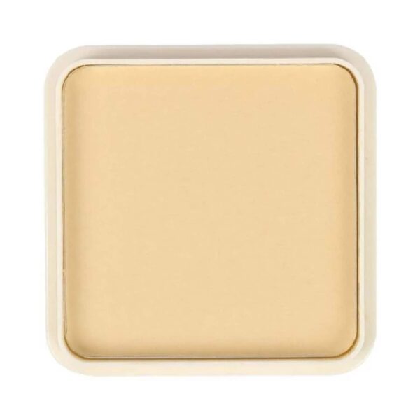 Half N Half Oil Free Pan Cake Wonder Powder - 02 Faintly Fabulous (15g) - Half N Half