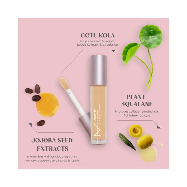 HOUSE OF MAKEUP Zoom In Crease-Free, Creamy Concealer - MD01 Medium To Deep Skin Tone (6 ml) - HOUSE OF MAKEUP