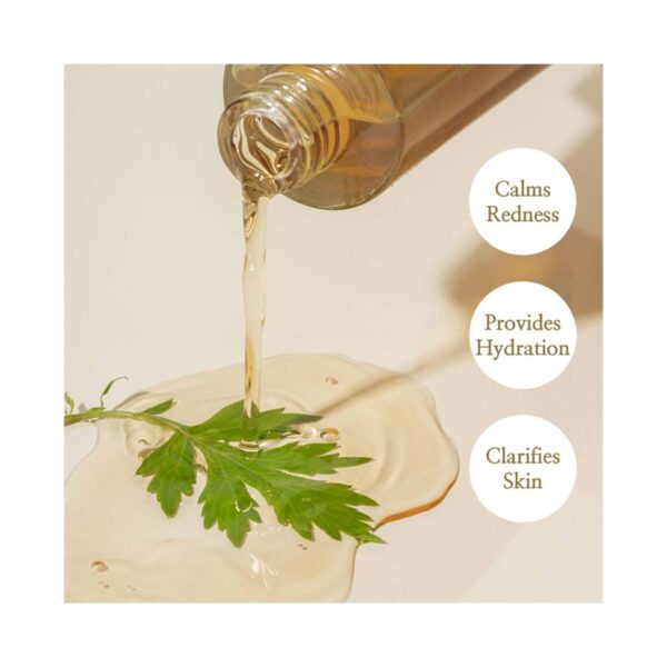 I'm From Mugwort Essence (160 ml) - I'm From