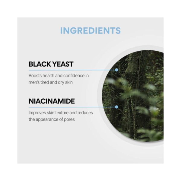 Innisfree Forest Anti-Aging All-in-one Essence (100 ml) - Innisfree