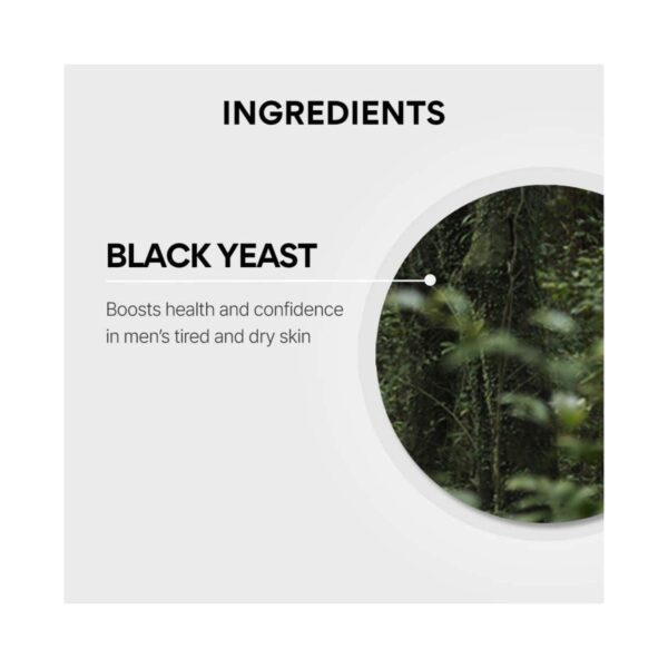 Innisfree Forest Sensitive All-in-one Essence (100 ml) - Innisfree