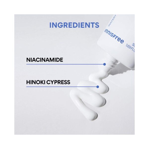 Innisfree Hyaluronic Moist Sunscreen SPF 50 (50 ml) - Innisfree