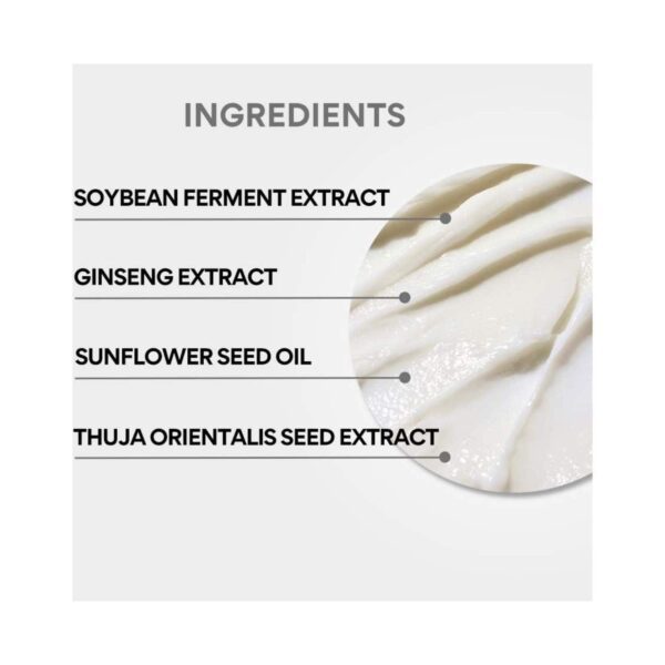 Innisfree My Hair Recipe Strength Treatment Conditioner (200 ml) - Innisfree