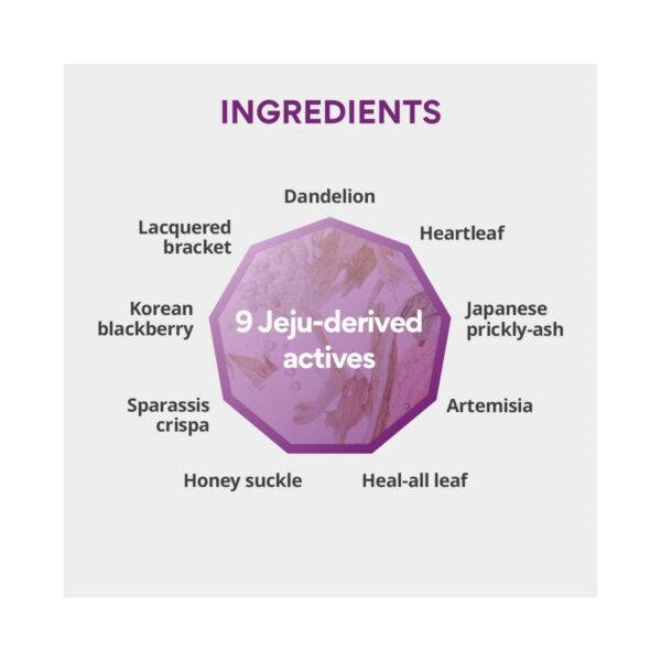 Innisfree Perfect 9 Intensive Skin Toner (200ml) - Innisfree