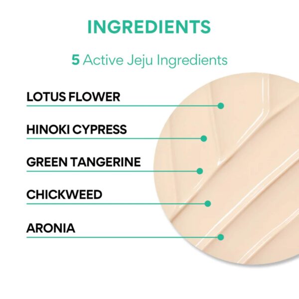 Innisfree UV Active Poreless Sunscreen (50ml) - Innisfree