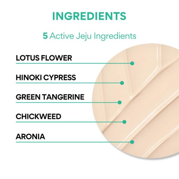 Innisfree UV Active Poreless Sunscreen SPF 50+ PA++++ for Even Toned Skin Mini (25 ml) - Innisfree