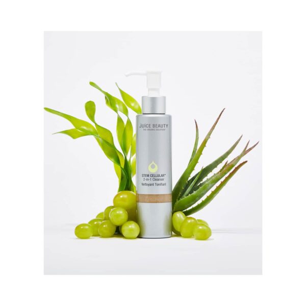 Juice Beauty 2-In-1 Stem Cellular Cleanser (133ml) - Juice Beauty