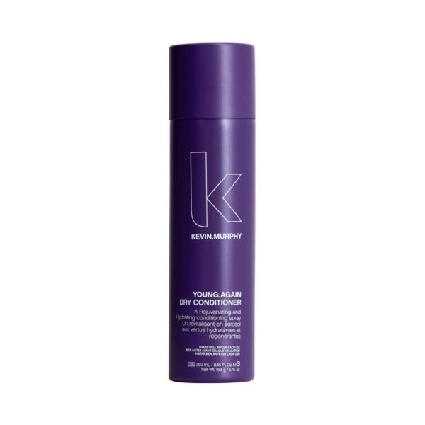 Kevin Murphy Young Again Dry Conditioner (250ml) - Kevin Murphy