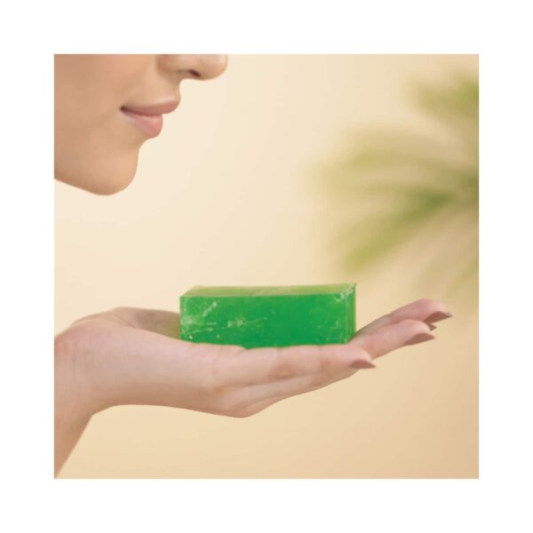 Kimirica Five Elements Bathing Soap Bar Citrus Green Tea For Deep Cleansing All Skin Type (100 g) - Kimirica