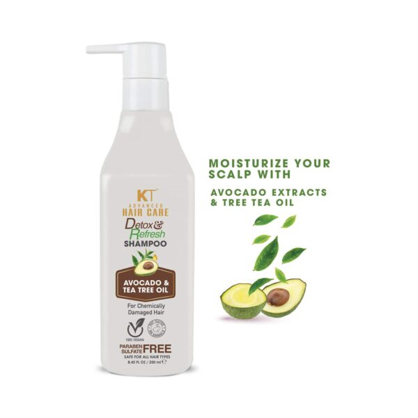 KT Professional Advanced Hair Care Detox & Refresh Conditioner Combo (2Pcs) - KT Professional