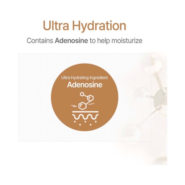 Kundal Cherry Blossom Honey & Macadamia Pure Body Lotion (500ml) - Kundal
