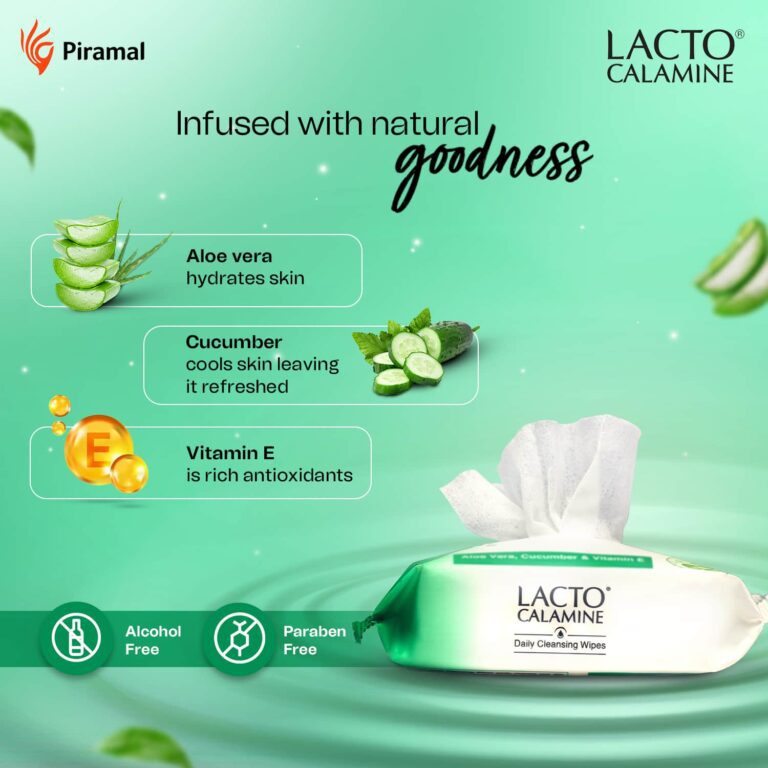 Lacto Calamine Daily Cleansing Face-Makeup Wet Wipes With Aloe Vera, Cucumber & Vitamin E-PO1 (25Pcs) - Lacto Calamine