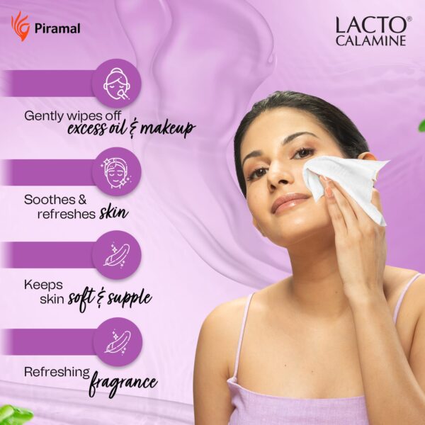 Lacto Calamine Oil Control Face wet Wipes, Removes Makeup With Neem,Aloe Vera & Niacinamide (30Pcs) - Lacto Calamine