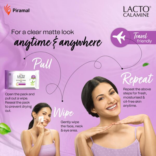 Lacto Calamine Oil Control Face wet Wipes, Removes Makeup With Neem,Aloe Vera & Niacinamide (30Pcs) - Lacto Calamine