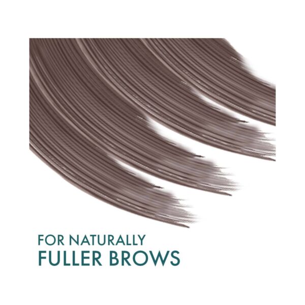Lakme Eyeconic Brow Boss Eyebrow Enhancer - Brown (5g) - Lakme